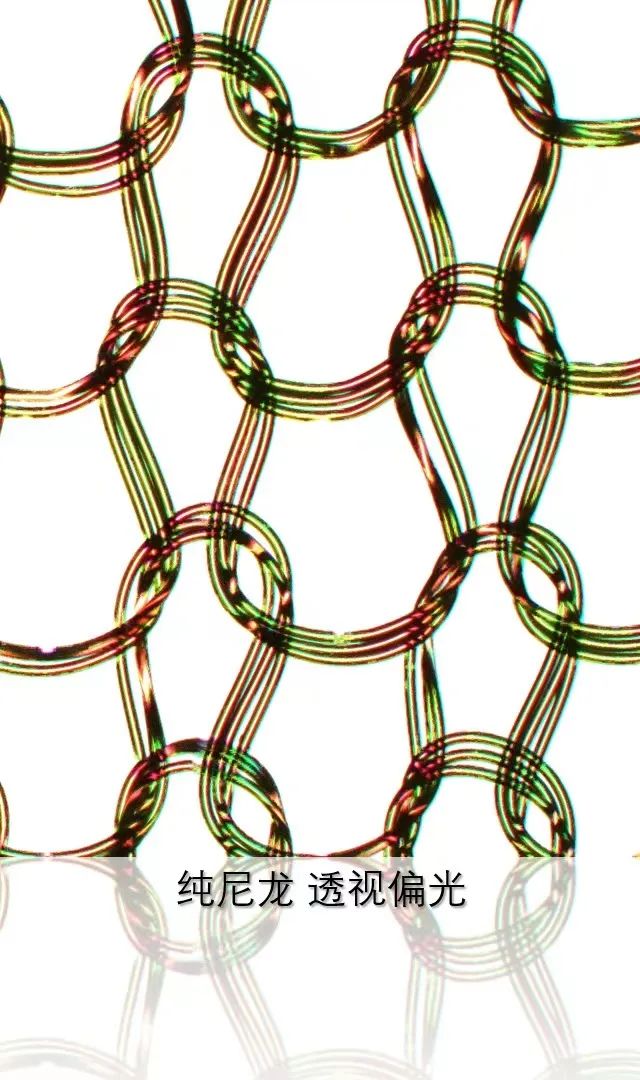 德州蔡司共聚焦显微镜